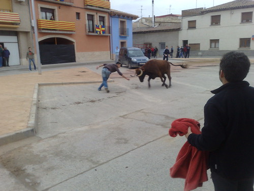 Villafranca de Ebro 8 - 12 - 08 Ganaderia de Ivan Lopez 3098117409_6972f09e00