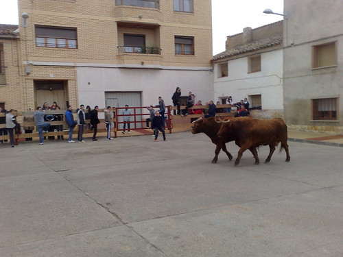 Figueruelas (Zaragoza) Ganaderia Jose Arriazu e hijos 3092610713_3fb5412868