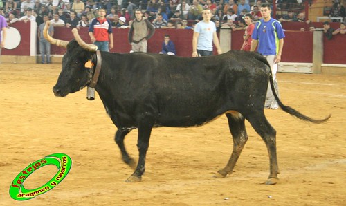 Zaragoza, Sábado 10 de Octubre ganaderia Maylin de Luna (Zaragoza) 3998863390_8028df2b03