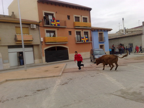 Villafranca de Ebro 8 - 12 - 08 Ganaderia de Ivan Lopez 3098108457_3cc9216d83