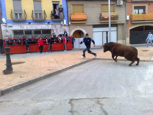 Villafranca de Ebro 8 - 12 - 08 Ganaderia de Ivan Lopez 3098085791_a361f32e91