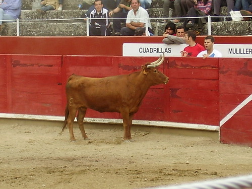 concurso de estella 2613047524_905999faf8