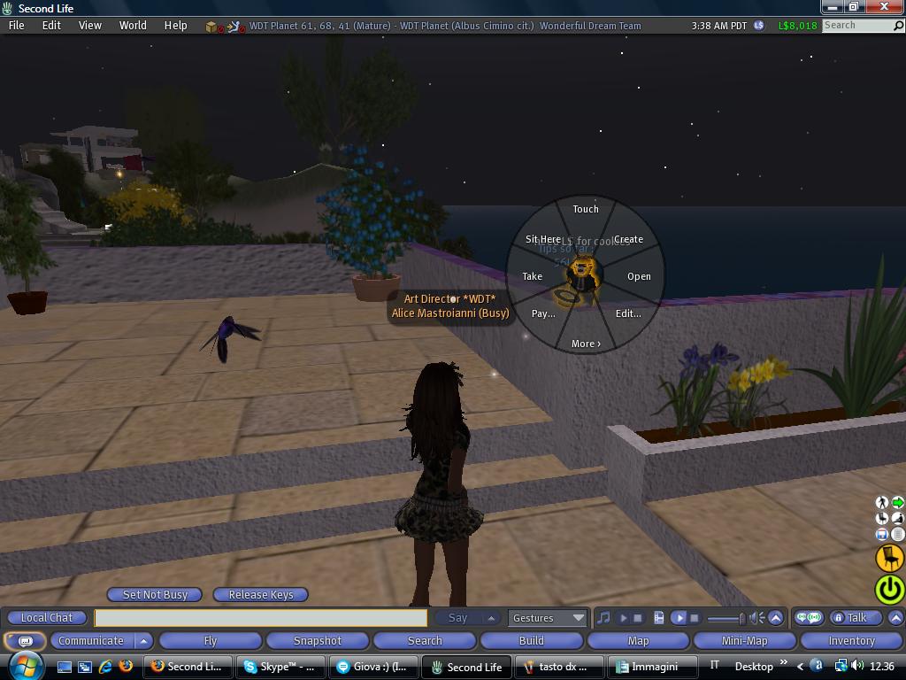 Tutorial per client (vecchio) di second life (da rinnovare) 2761983709_851f866a7d_o