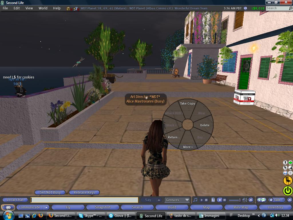 Tutorial per client (vecchio) di second life (da rinnovare) 2762829054_4622d34f0b_o