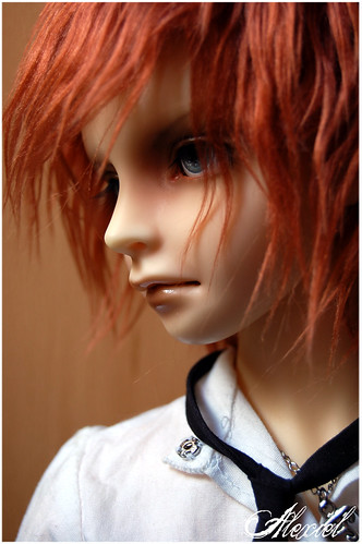 [Alex' BJD] Victor (School A) - Tendance p.73 - Page 17 2808001909_11928235d7