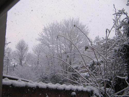 Neige sur Verviers 3049081595_7d28b392f3