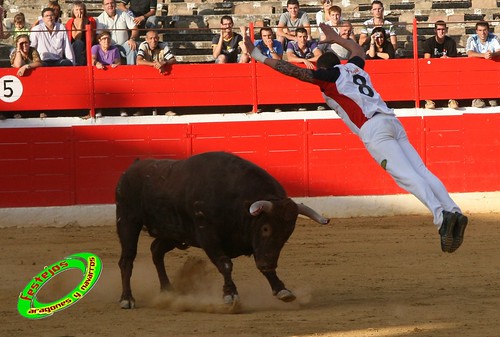 Concurso de cortes en Alfaro (La Rioja) 5-09-2009 toros de Toropasion 3905744093_64f368cf49