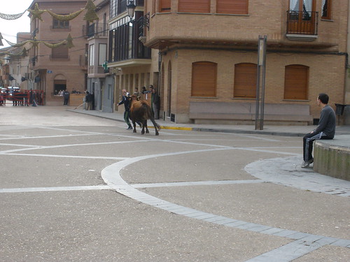 Aldeanueva de Ebro 01-01-09 Vicente Dominguez 3160590122_9e2eedbd26