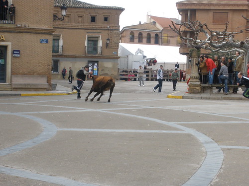 Aldeanueva de Ebro 01-01-09 Vicente Dominguez 3160622528_780328c5c0