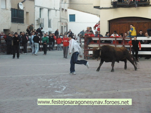 DIA 17-01-09  PRADILLA DE EBRO -  GANADO DE CUARTERO 3205513199_461d55385e