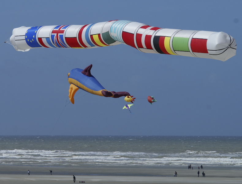 rencontre cerfs volants Berck 2008 2416208753_97cf512dc5_o