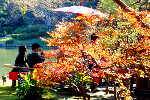 Rikugien Garden ~ Paseando con la familia. 3120704332_e17ea97102