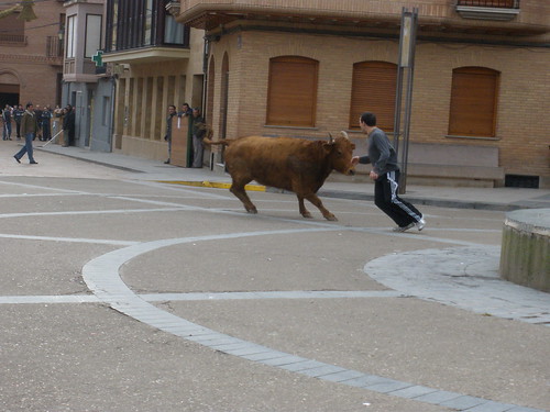 Aldeanueva de Ebro 01-01-09 Vicente Dominguez 3160562656_0c740e7a9a