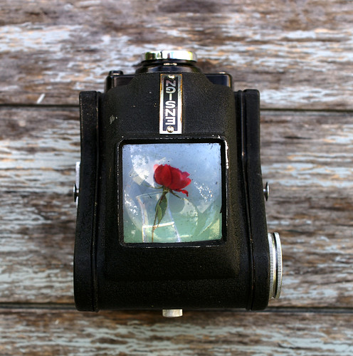 Fake TtV Photography: More Inspiration for September Kit!!! 2786688827_0319849cb0