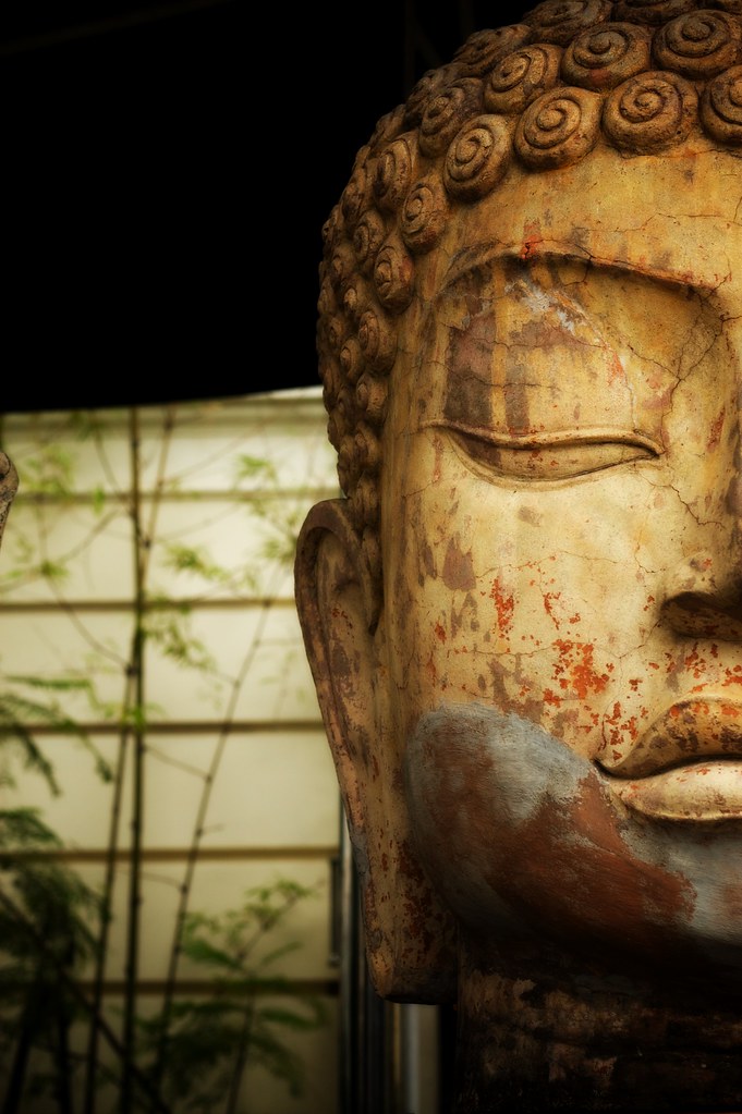 Buddha Head of Indochime 2746852144_1b55b8c2dc_b