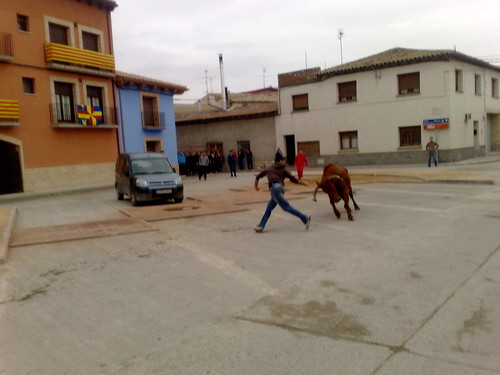 Villafranca de Ebro 8 - 12 - 08 Ganaderia de Ivan Lopez 3098944714_87f20d487a