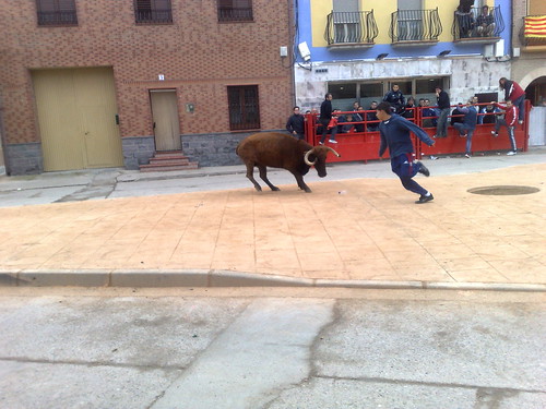 Villafranca de Ebro 8 - 12 - 08 Ganaderia de Ivan Lopez 3098119907_f9cfc5100f