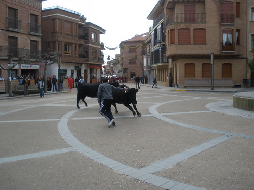 Aldeanueva de Ebro 01-01-09 Vicente Dominguez 3159693121_efa5218f7e