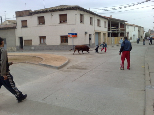 Villafranca de Ebro 8 - 12 - 08 Ganaderia de Ivan Lopez 3098924732_8d2db5c506