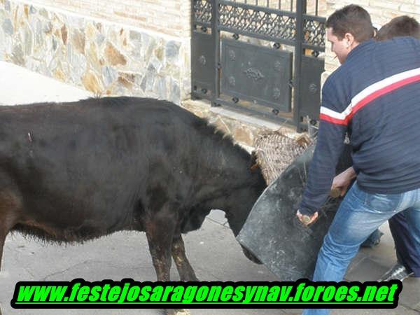 Cabañas de Ebro (mañana) Ganaderia de Rafael Alarcon 3223462406_af0c59117a_o