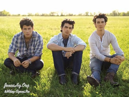 Fotos Promo Nuevo álbum Jonas Brothers 3492806264_85ea47be97_o