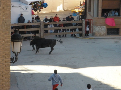 Aldeanueva de Ebro 04 - 01 - 2009  Enrique Domínguez 3172811239_c76a6d0c1e