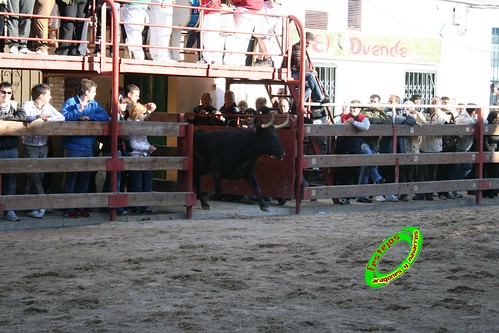 Luceni (Zaragoza) Ganaderia Jose Luis Cuartero 1-05-2009 3504382597_5844cb961b