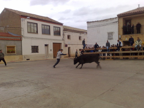 Figueruelas (Zaragoza) Ganaderia Jose Arriazu e hijos 3092615427_4b9ff83e17