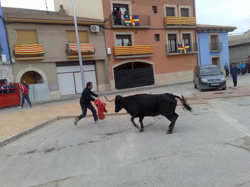 Villafranca de Ebro 8 - 12 - 08 Ganaderia de Ivan Lopez 3098096253_d30f485326