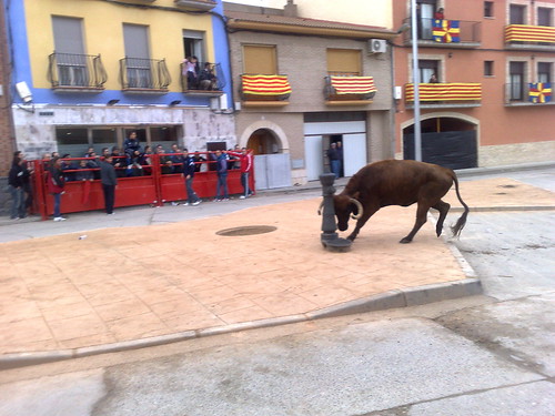 Villafranca de Ebro 8 - 12 - 08 Ganaderia de Ivan Lopez 3098113791_02f3b462ab