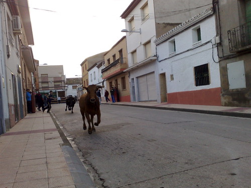 Figueruelas Ganaderia Maylìn 3096605648_f6770cbe98