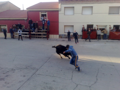 Figueruelas (Zaragoza) Ganado de Jose Luis Cuartero 3090307222_72496bd7b5