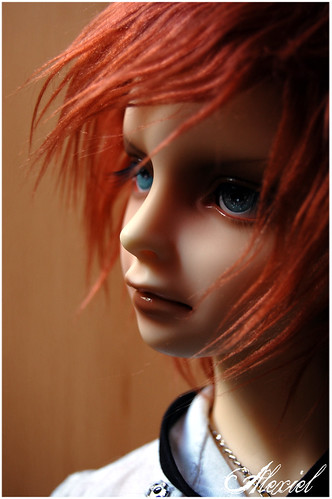 [Alex' BJD] Victor (School A) - Tendance p.73 - Page 17 2808849874_87aab47375