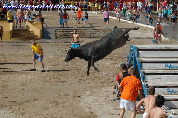 OTRA BUENA VACA 3095557963_b1195ab8af_o