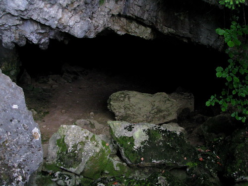 ~Die Fledermaushöhle~ 2584840291_a811f8f6b0