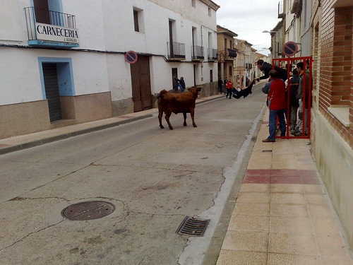 Figueruelas (Zaragoza) Ganaderia Jose Arriazu e hijos 3092608741_eceff8fdd9