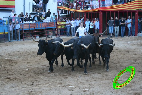 Alpartir (Zaragoza) 21-06-2009 Ganaderia "El Ruiseñor" (Frescano) 3656814950_df41c4a976