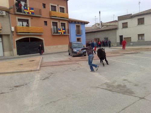 Villafranca de Ebro 8 - 12 - 08 Ganaderia de Ivan Lopez 3098097243_079985bf7b