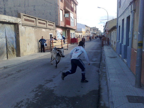 Castejon (Navarra) ganado de Pascual - Nechita de Castejon 3072202264_0e5dae2200