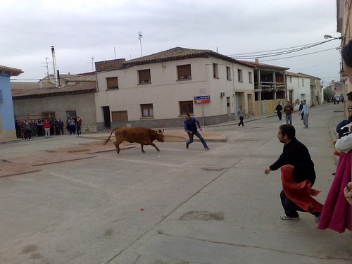 Villafranca de Ebro 8 - 12 - 08 Ganaderia de Ivan Lopez 3098073181_eba54c4136