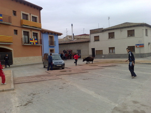 Villafranca de Ebro 8 - 12 - 08 Ganaderia de Ivan Lopez 3098934302_eabf5e272c