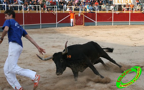 Borja (Zaragoza) 19-09-2009 Concurso de recortadores con anillas, ganaderia Hnos Ozcoz (Fuente de Ebro, Zaragoza) 3944934974_758c34520b