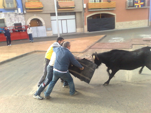 Villafranca de Ebro 7 - 12 - 08 Ganaderia de Ivan Lopez 3093264561_bd335827f5