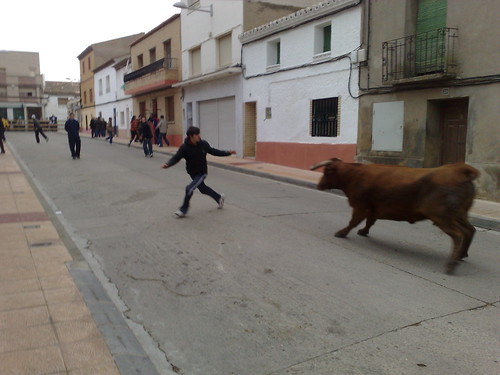 Figueruelas (Zaragoza) Ganaderia Jose Arriazu e hijos 3092609613_087f590c0e