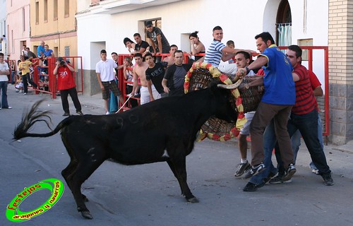 Epila (Zaragoza) 31-01-2009 Ganaderia Hnos. Ozcoz (Fuentes de Ebro) 3595657412_8fe2d9be67