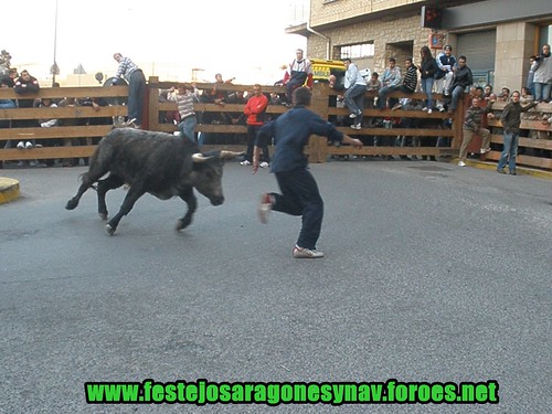 Funes 22-03-2009 Ganaderia Enrique Dominguez 3385150121_7f9188124b