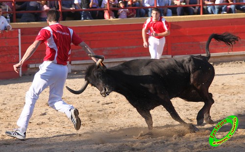 Concurso de recortadores del Burgo de Ebro (Zaragoza) 23-4-2010 ganaderia Ivan Lopez (Villafranca de Ebro, Zaragoza) 4558377348_4c3ff9976a