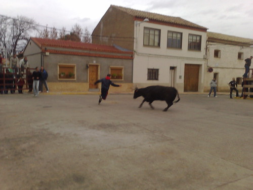 Figueruelas (Zaragoza) Ganaderia Jose Arriazu e hijos 3092612813_a2e58652da