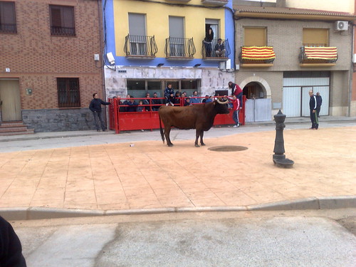 Villafranca de Ebro 8 - 12 - 08 Ganaderia de Ivan Lopez 3098118771_818f97e6db