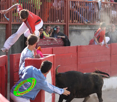 Concurso de recortadores de Pina de Ebro (Zaragoza) 9-05-2010 ganaderia Hnos Ozcoz (Fuentes de Ebro, Zaragoza) 4596303062_ef454bf67a